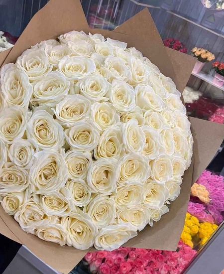 55 белых роз Эквадор 50 см