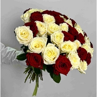 55 красно-белых роз Эквадор 50 см