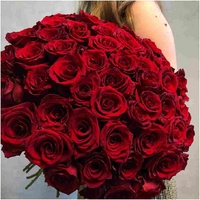 55 красных роз Эквадор 60 см