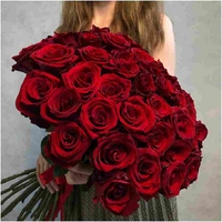 55 красных роз Эквадор 60 см
