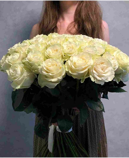 55 белых роз Эквадор 60 см