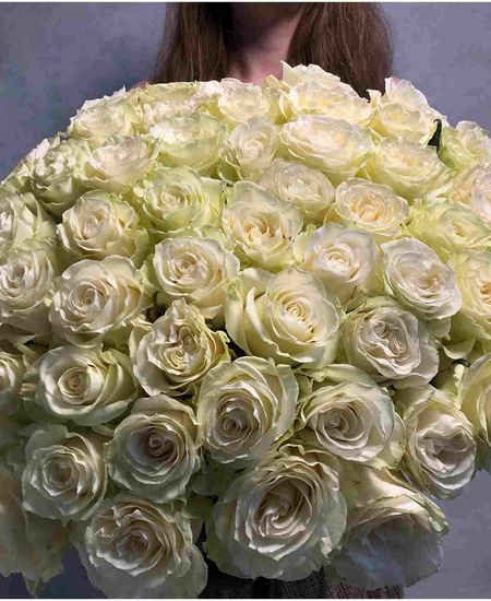55 белых роз Эквадор 60 см