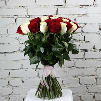 55 красно-белых роз Эквадор 60 см