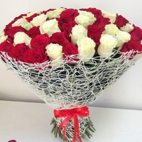 101 красно-белая роза (60 см)