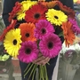 Цветок гербера с доставкой в Челябинске от салона цветов Дари Цветы
