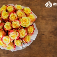 Букет «Amore» в шляпной коробке из 25 желтых роз