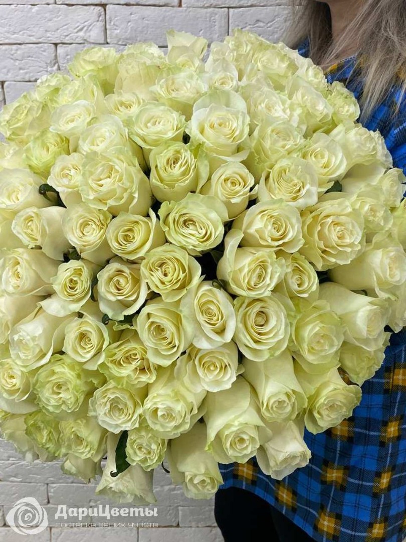 Розы 50 см