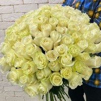 101 белая роза (50 см)