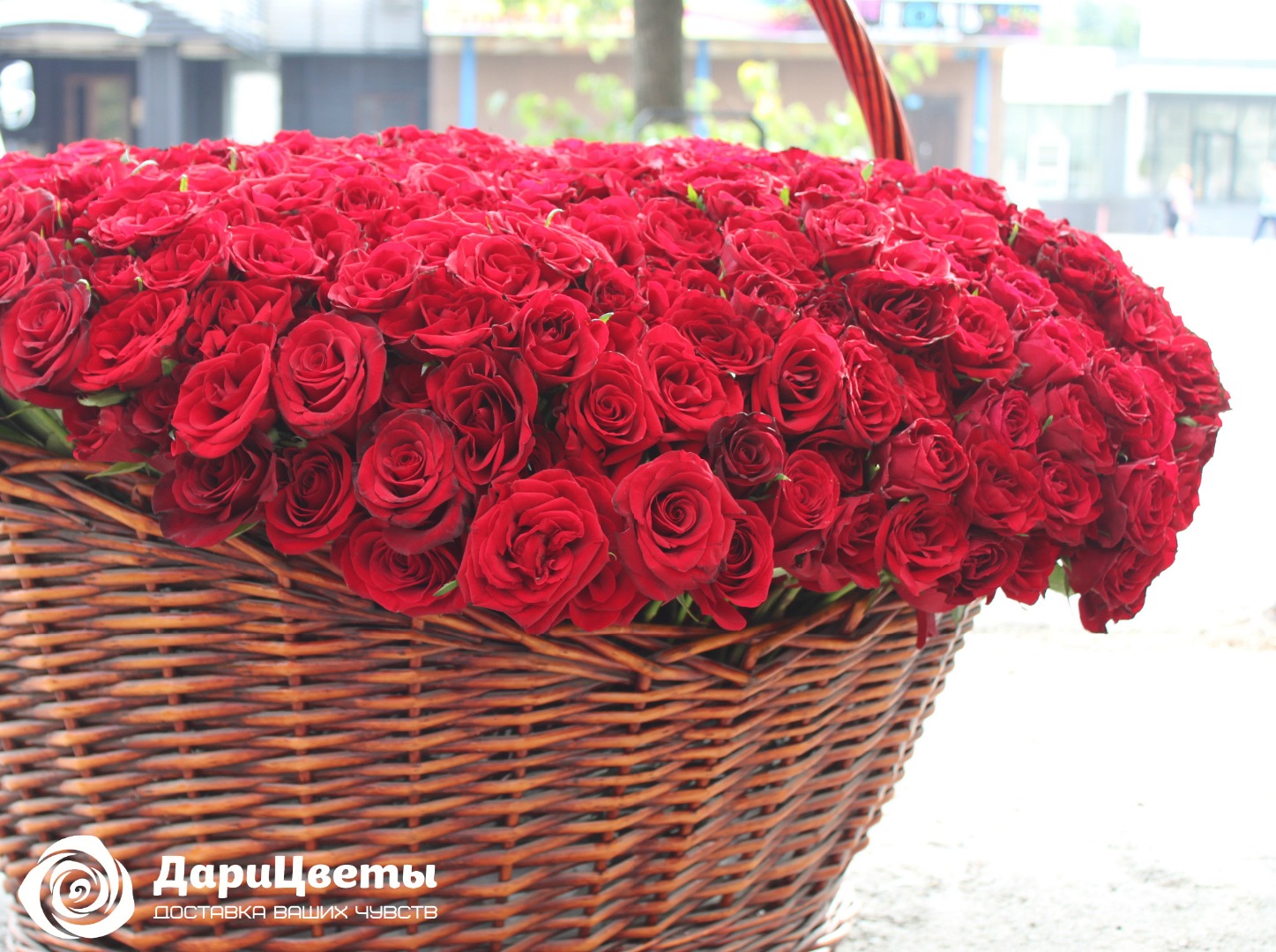 Корзина 1001 роза заказать с доставкой в Челябинске - салон «Дари Цветы» |  Купить букет 1001 роза