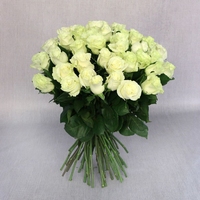 51 белая роза (60 см)