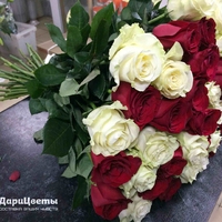 51 красно-белая роза (60 см)