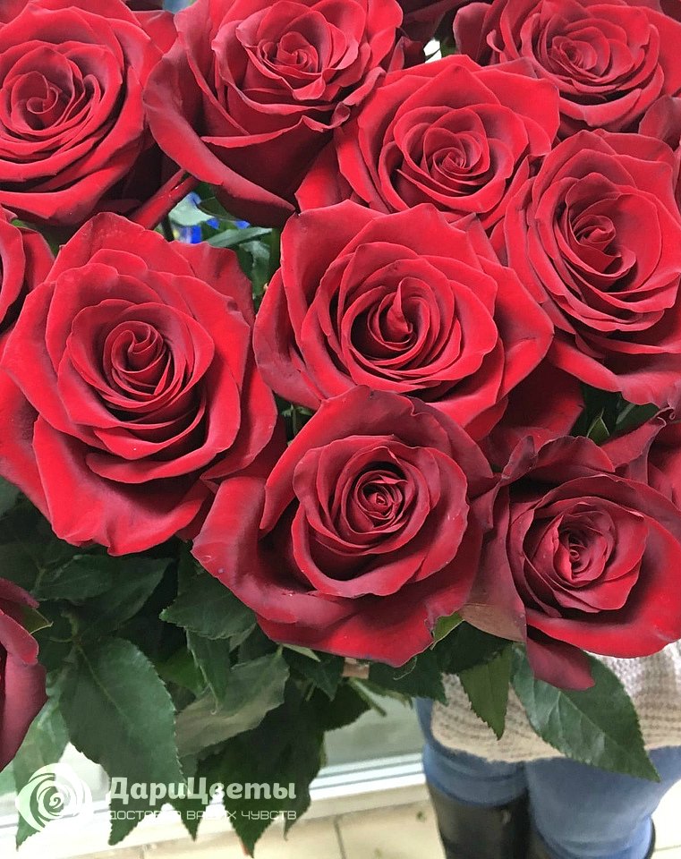 Букеты из 25 роз