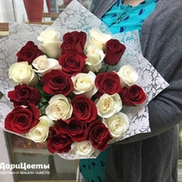 25 красно-белых роз (50 см)