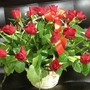 Корзины из роз с доставкой по Челябинску. Все варианты смотрите на нашем сайте Дари Цветы