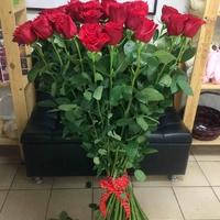 Роза 1,2 метра (120 см)