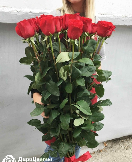 Роза 1,1 метра (110 см)