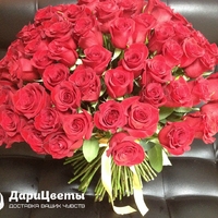 101 красная роза (60 см)