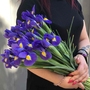 Цветок ирис поштучно и в букетах выбирайте на нашем сайте Дари Цветы