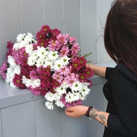 Хризантема кустовая в букетах с доставкой по Челябинску от салона цветов Дари Цветы
