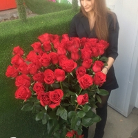 Розы гиганты