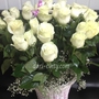 Корзина 39 белых роз (60 см)
