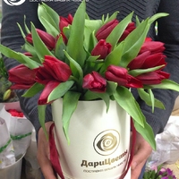 Букет «Amore» в коробке из 19 тюльпанов
