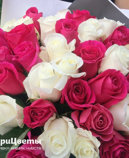 51 розово-белая роза (40 см)