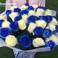 39 сине-белых роз (60 см)