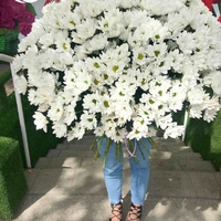 Букет из 51 хризантемы