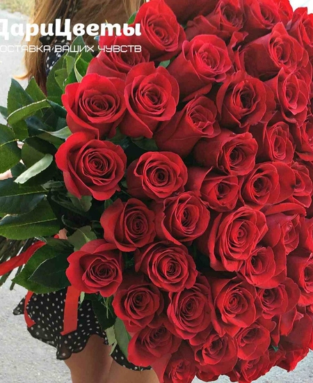 101 красная роза (80 см)