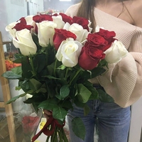 25 красно-белых роз (60 см)