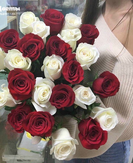 25 красно-белых роз (60 см)