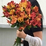 Все букеты с альстромериями на нашем сайте Дари Цветы
