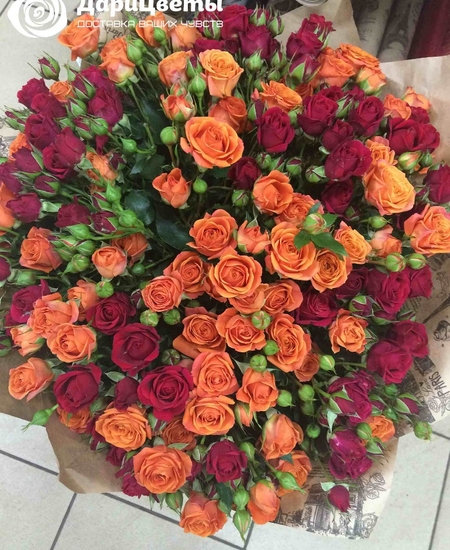 25 кустовых роз (60 см)