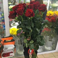 Букет 15 роз (1 метр)