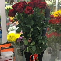 Букет 15 роз (1 метр)