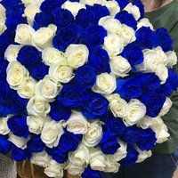 115 сине-белых роз (60 см)