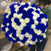 115 сине-белых роз (60 см)
