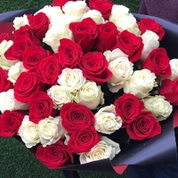 51 красно-белая роза (50 см)