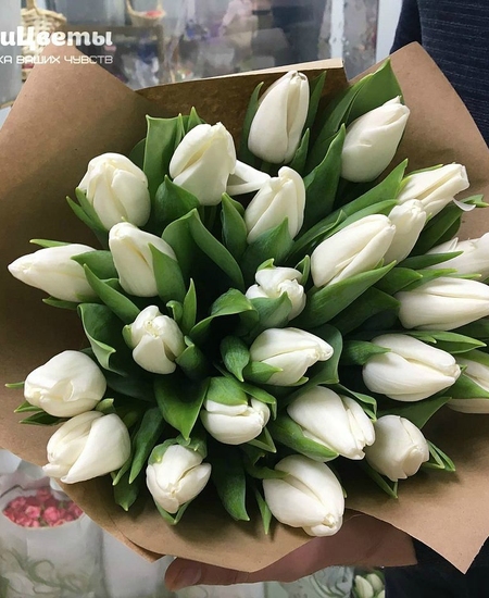 Букет 25 белых тюльпанов заказать с доставкой в Челябинске - салон «Дари  Цветы»