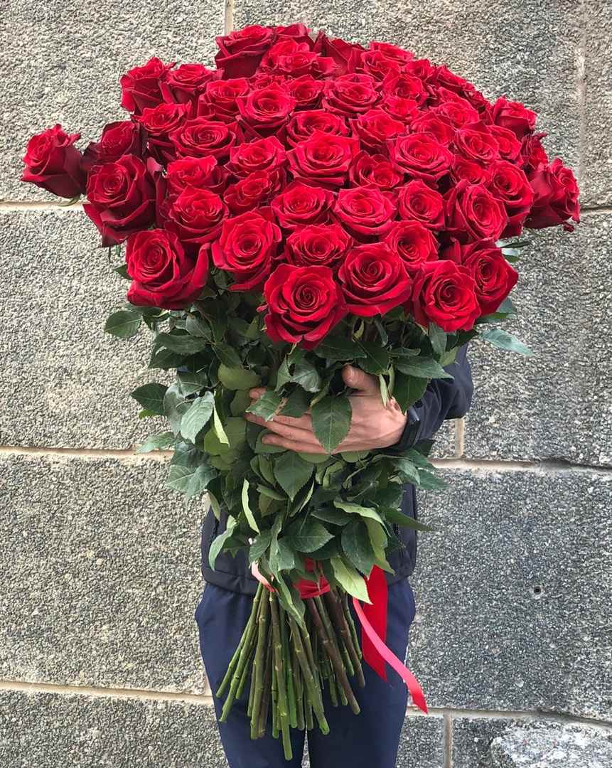 55 роз купить амариллис цветы купить в москве