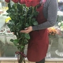 Букет 15 роз (130 см)