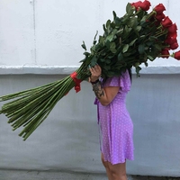 Роза 1,3 метра (130 см)