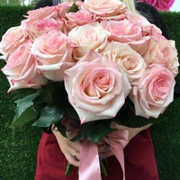 25 нежно-розовых роз (40 см)