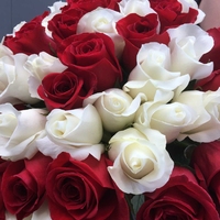 51 красно-белая роза (40 см)