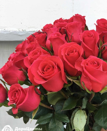 Розы розовые (70 см)