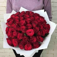 51 красная роза Кения (40 см)
