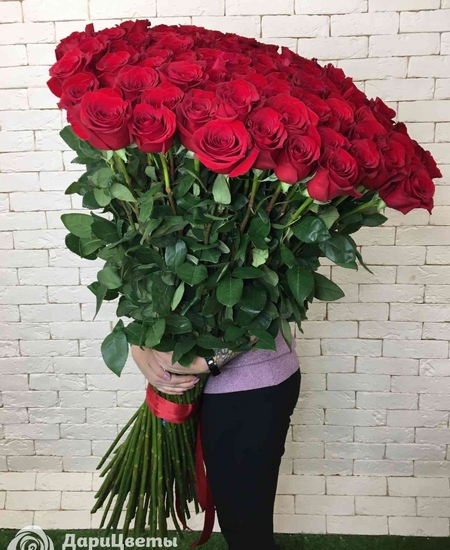 Букет 101 роза (140 см)